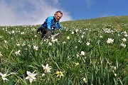 In solitaria mattutina tra i narcisi del Linzone il 23 aprile 2017